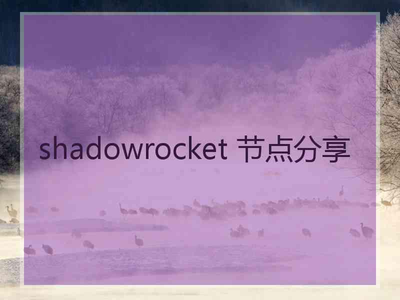 shadowrocket 节点分享