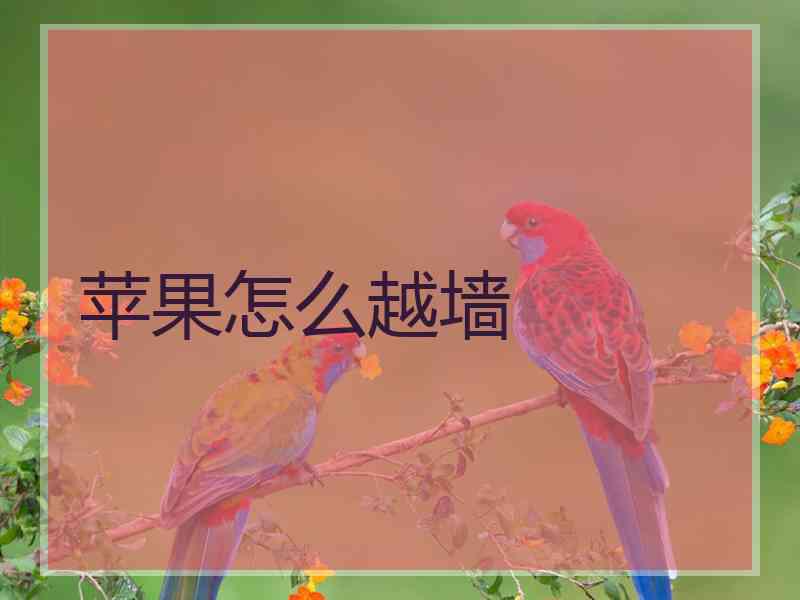 苹果怎么越墙