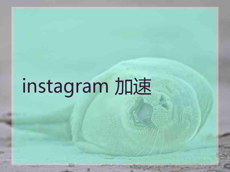 instagram 加速