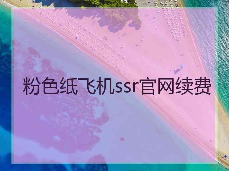 粉色纸飞机ssr官网续费
