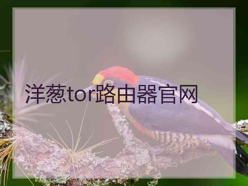 洋葱tor路由器官网