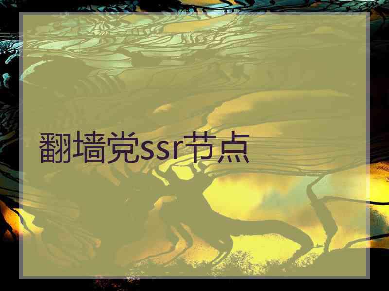 翻墙党ssr节点