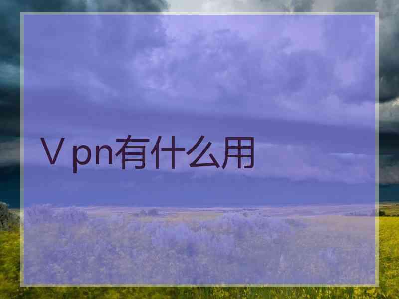 Ⅴpn有什么用