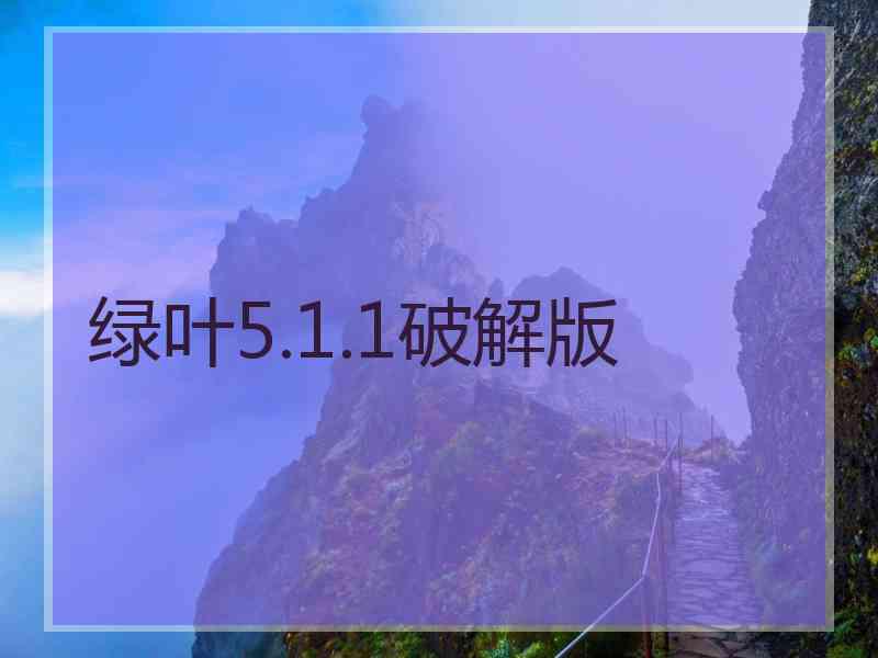 绿叶5.1.1破解版