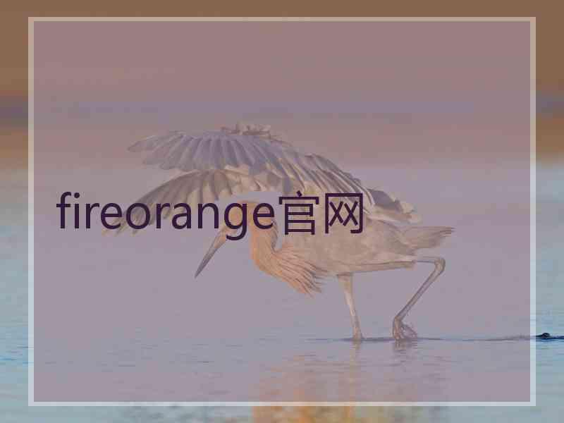 fireorange官网